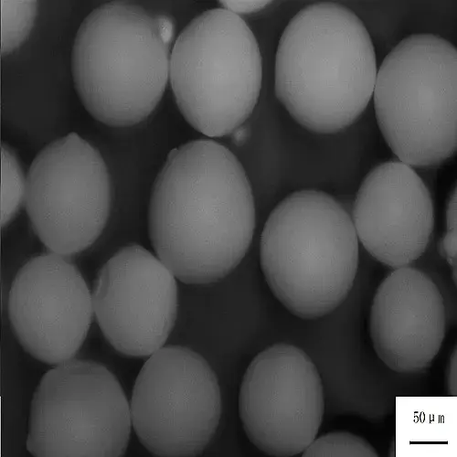 Gadolinium Zirconate-1
